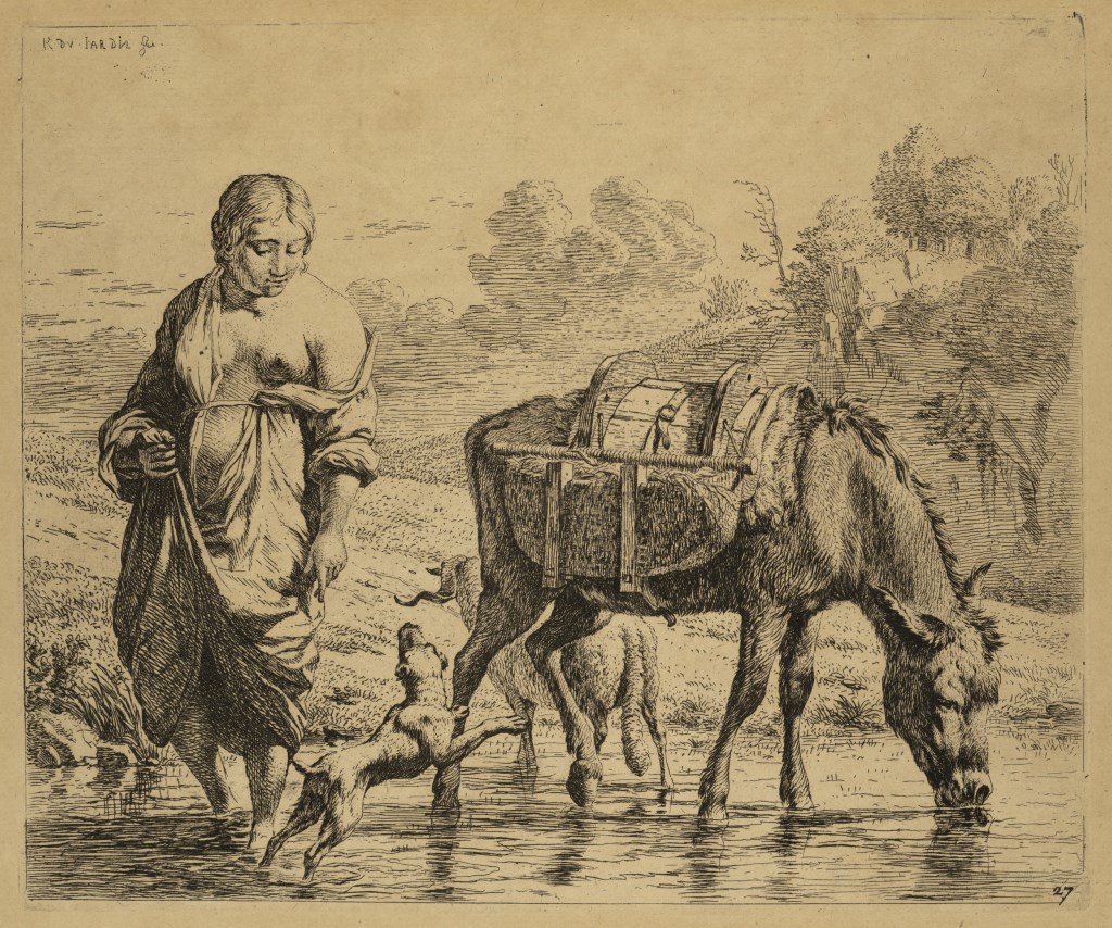  par DUJARDIN