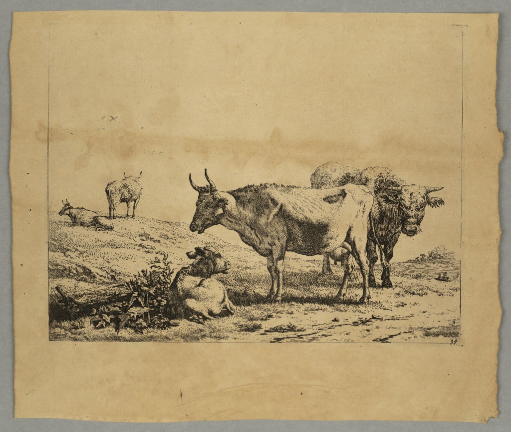  par DUJARDIN