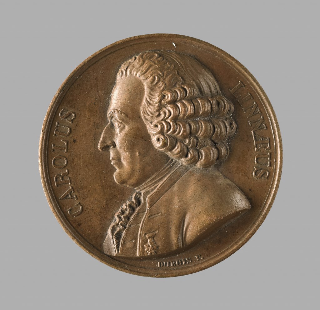  par DURAND