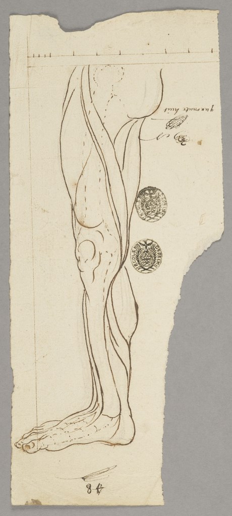 par ANONYME FRANCAIS 18ème siècle