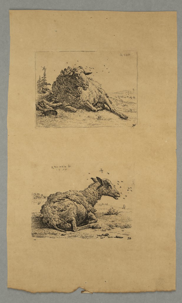  par DUJARDIN