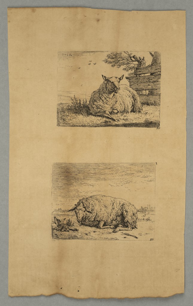  par DUJARDIN