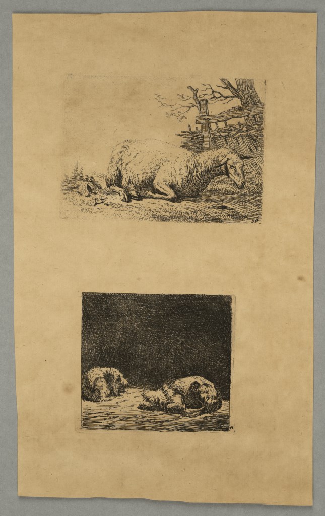  par DUJARDIN