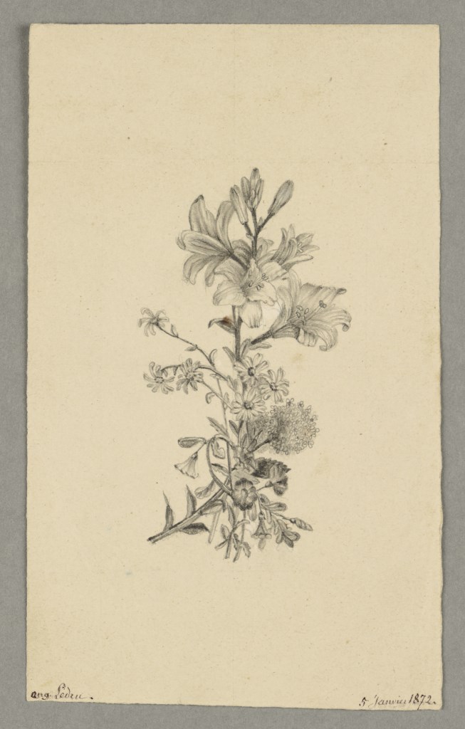  par LEDRU