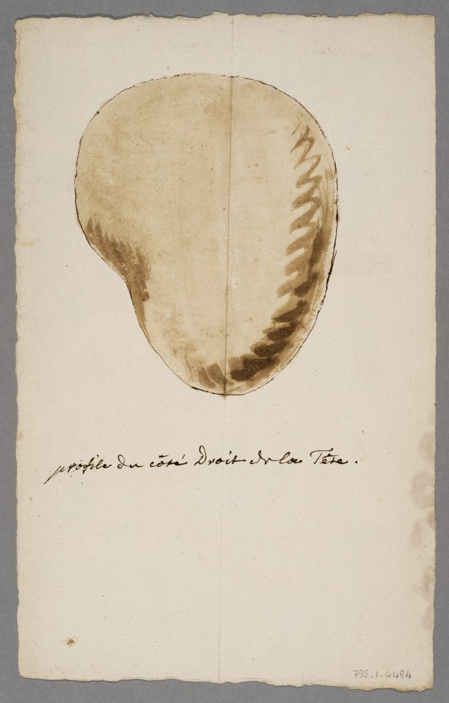  par ANONYME FRANCAIS 18ème siècle