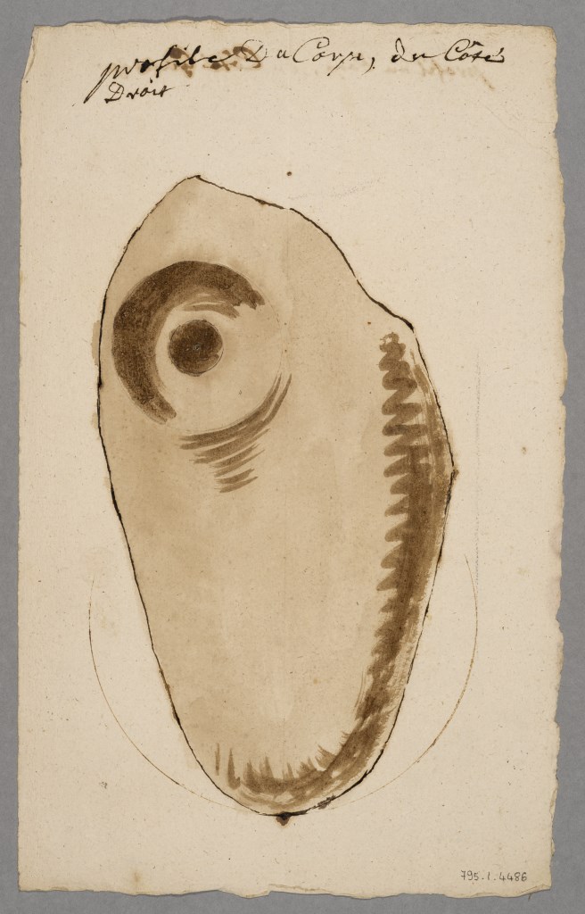  par ANONYME FRANCAIS 18ème siècle