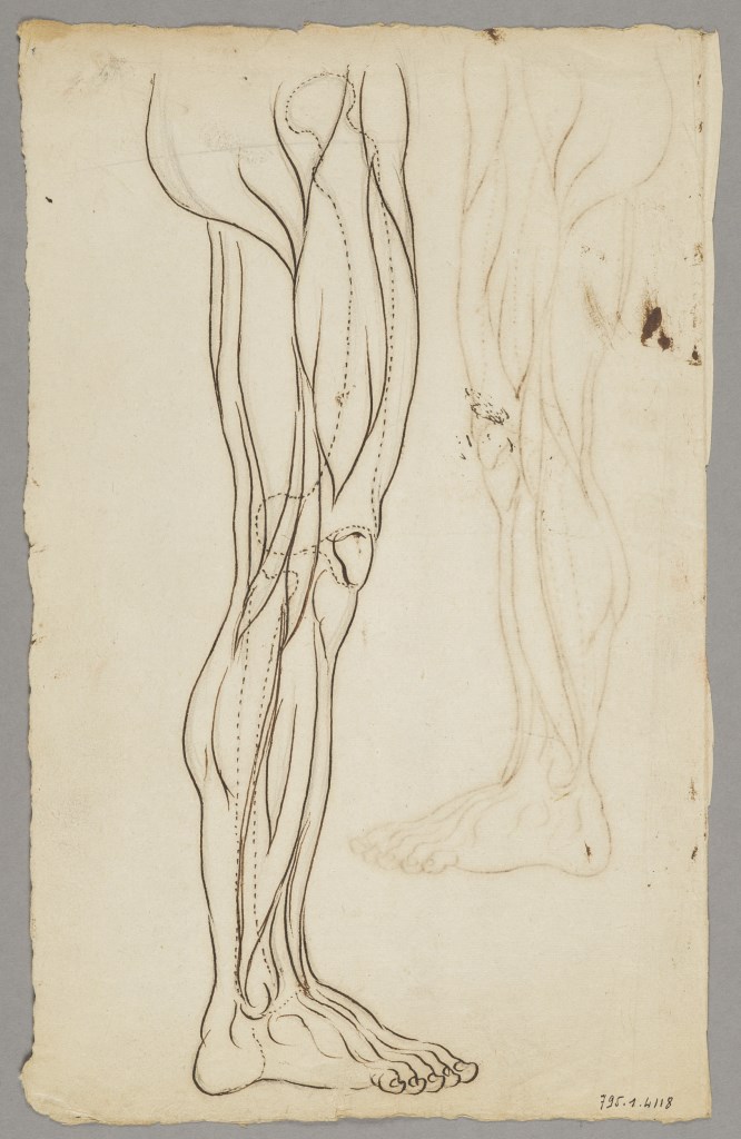  par ANONYME FRANCAIS 18ème siècle