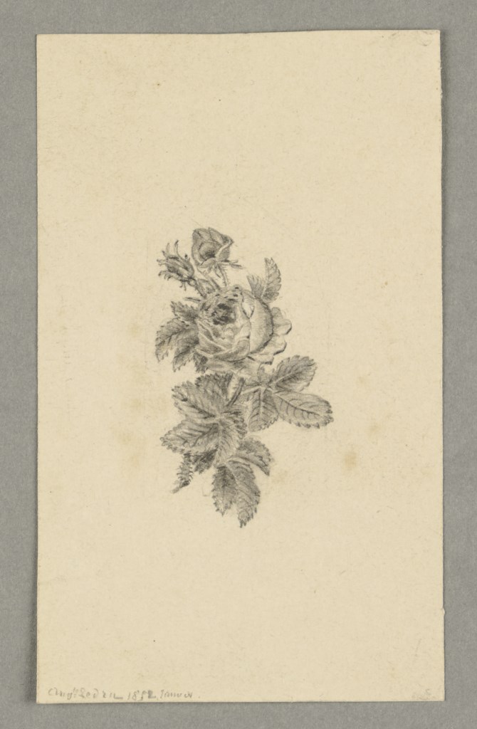  par LEDRU