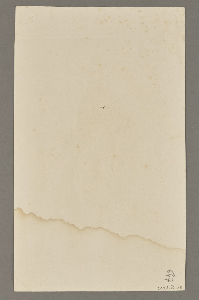  par TAVERNIER