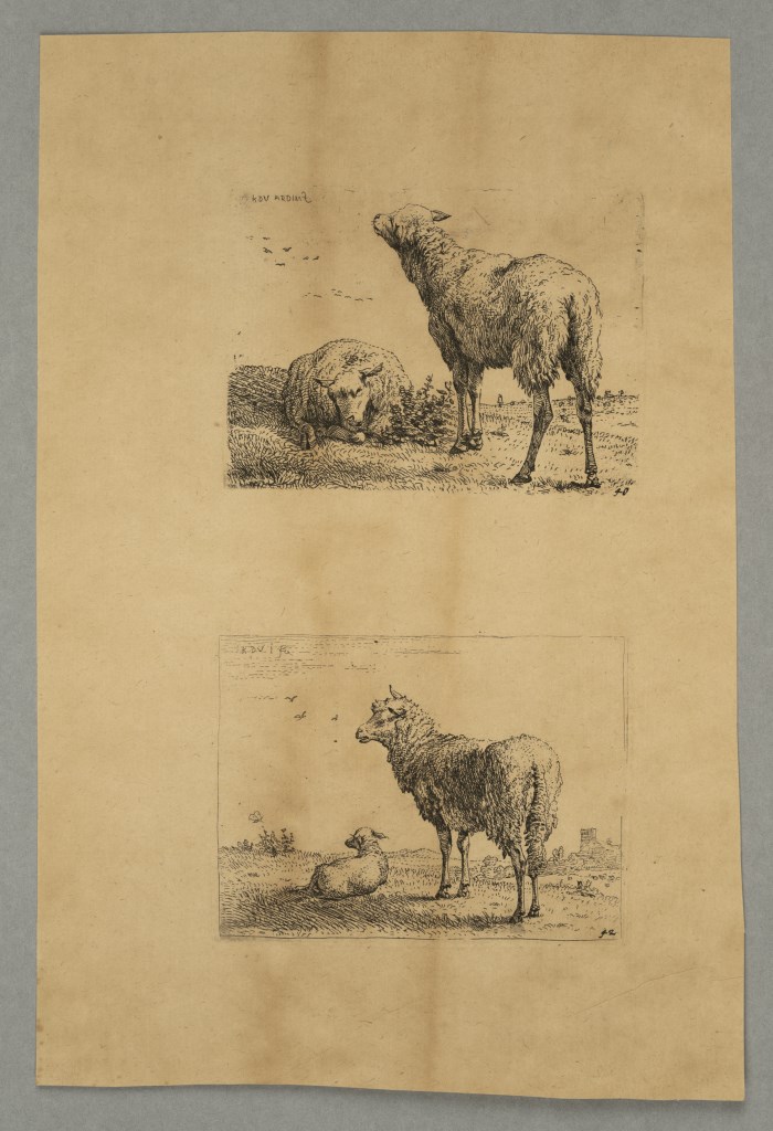  par DUJARDIN