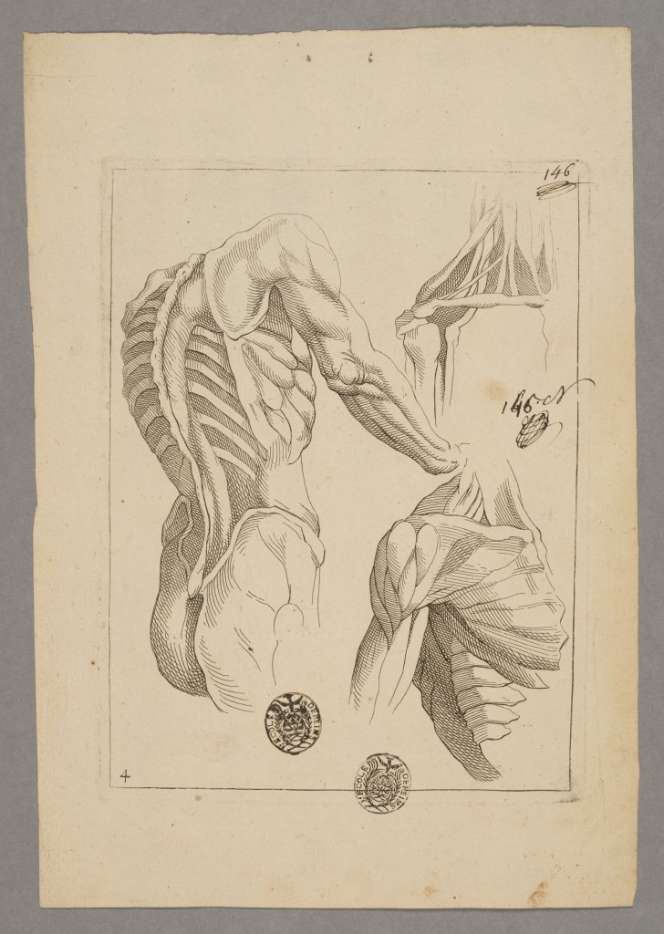  par ANONYME FRANCAIS 18ème siècle