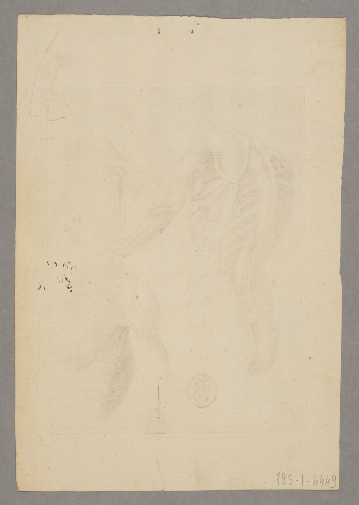  par ANONYME FRANCAIS 18ème siècle