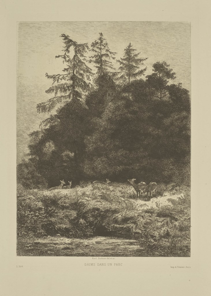  par BODMER