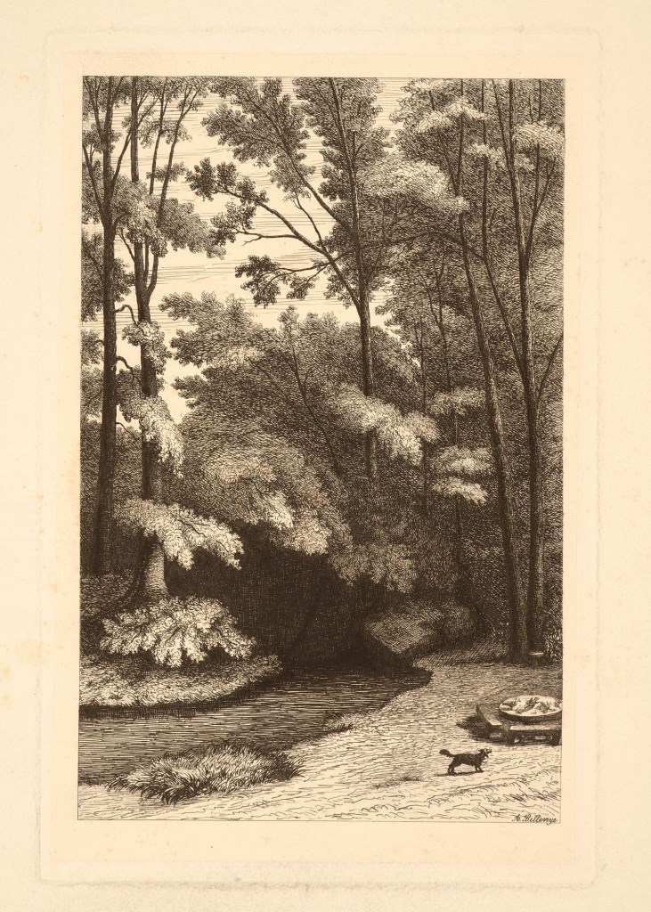  par BELLEVOYE