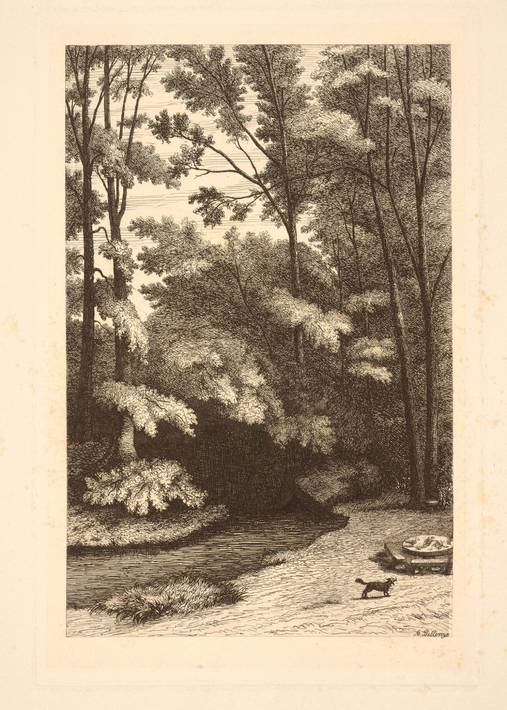  par BELLEVOYE