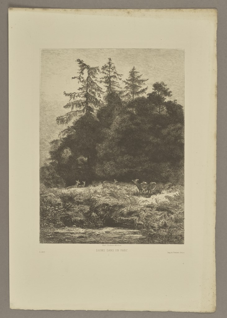  par BODMER