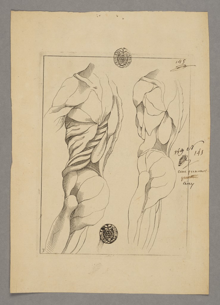  par ANONYME FRANCAIS 18ème siècle