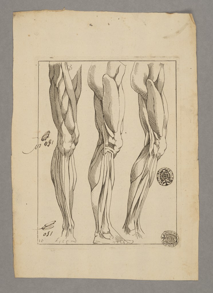  par ANONYME FRANCAIS 18ème siècle