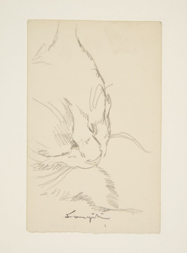  par FOUJITA