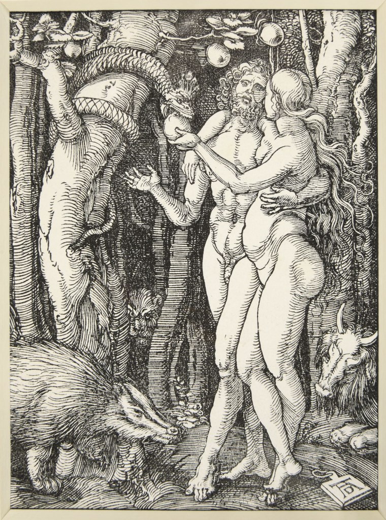  par DÜRER