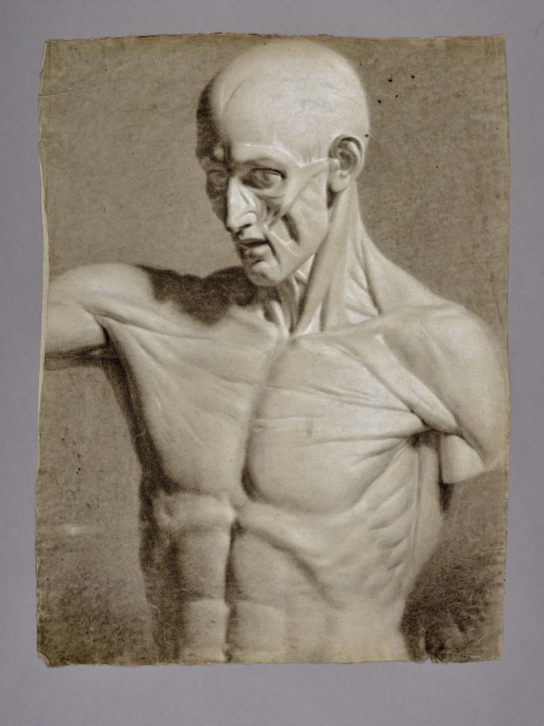  par PÉRIN