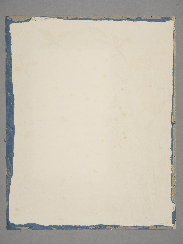  par PARMENTIER