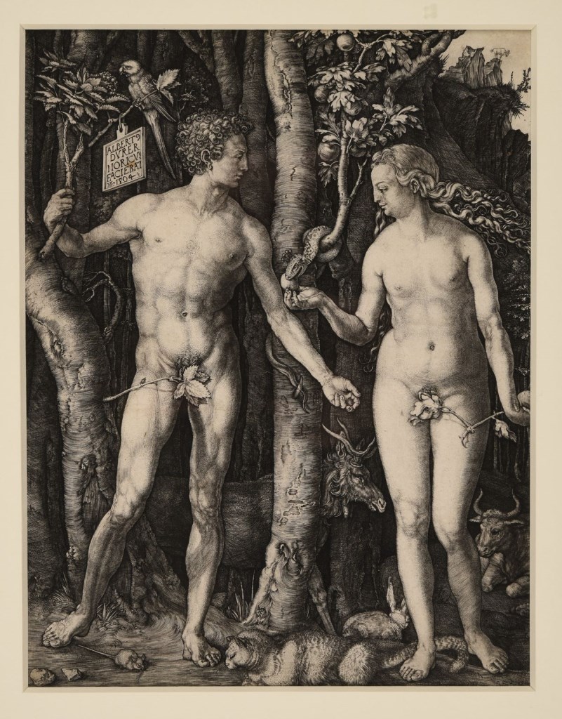  par DÜRER