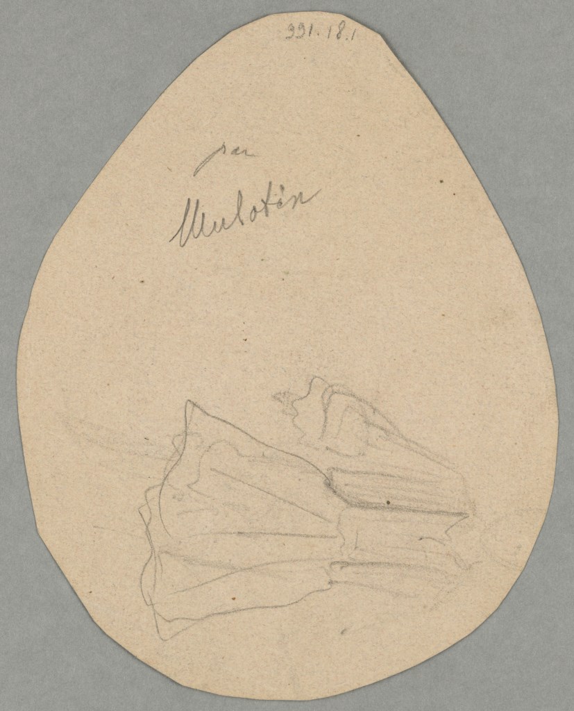  par MULOTIN