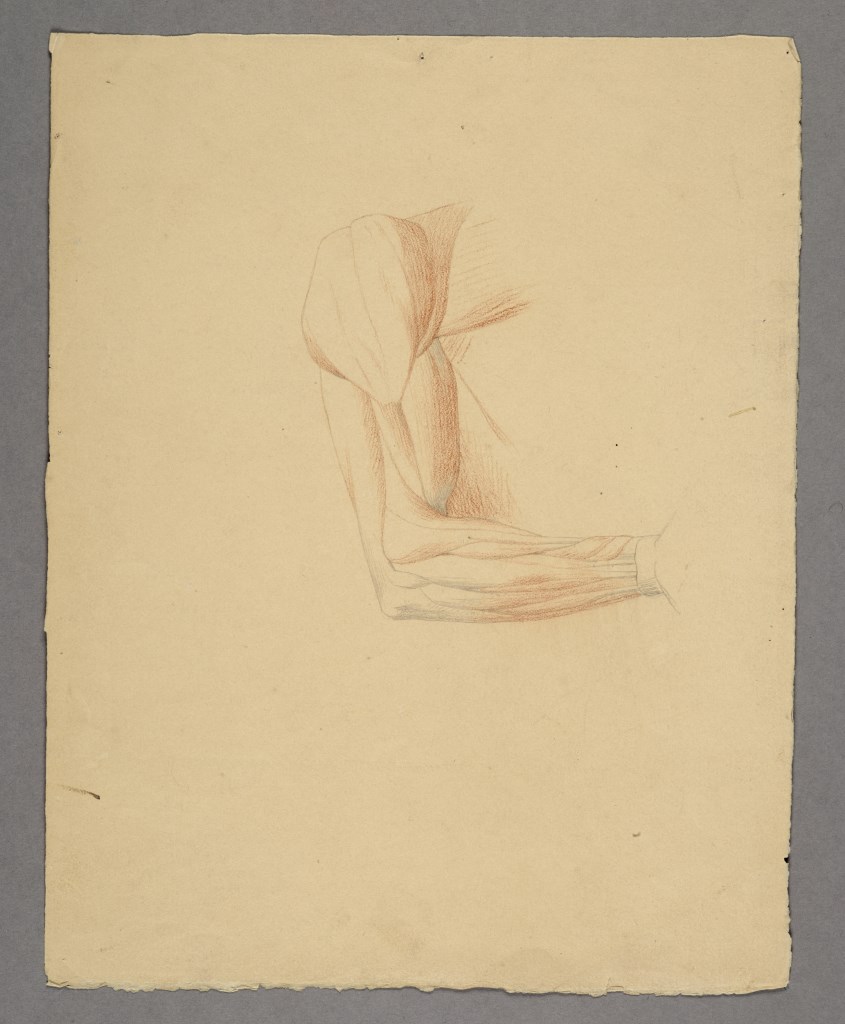  par PÉRIN