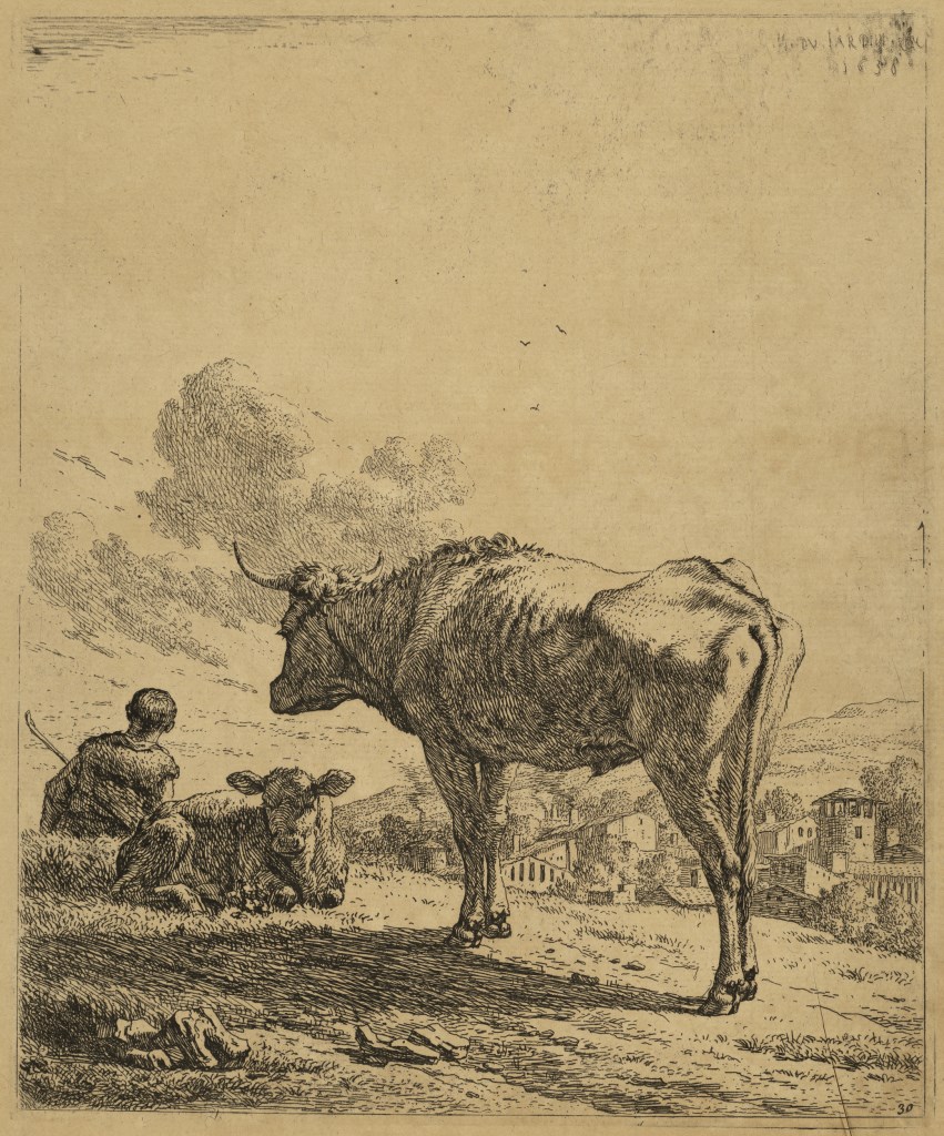  par DUJARDIN