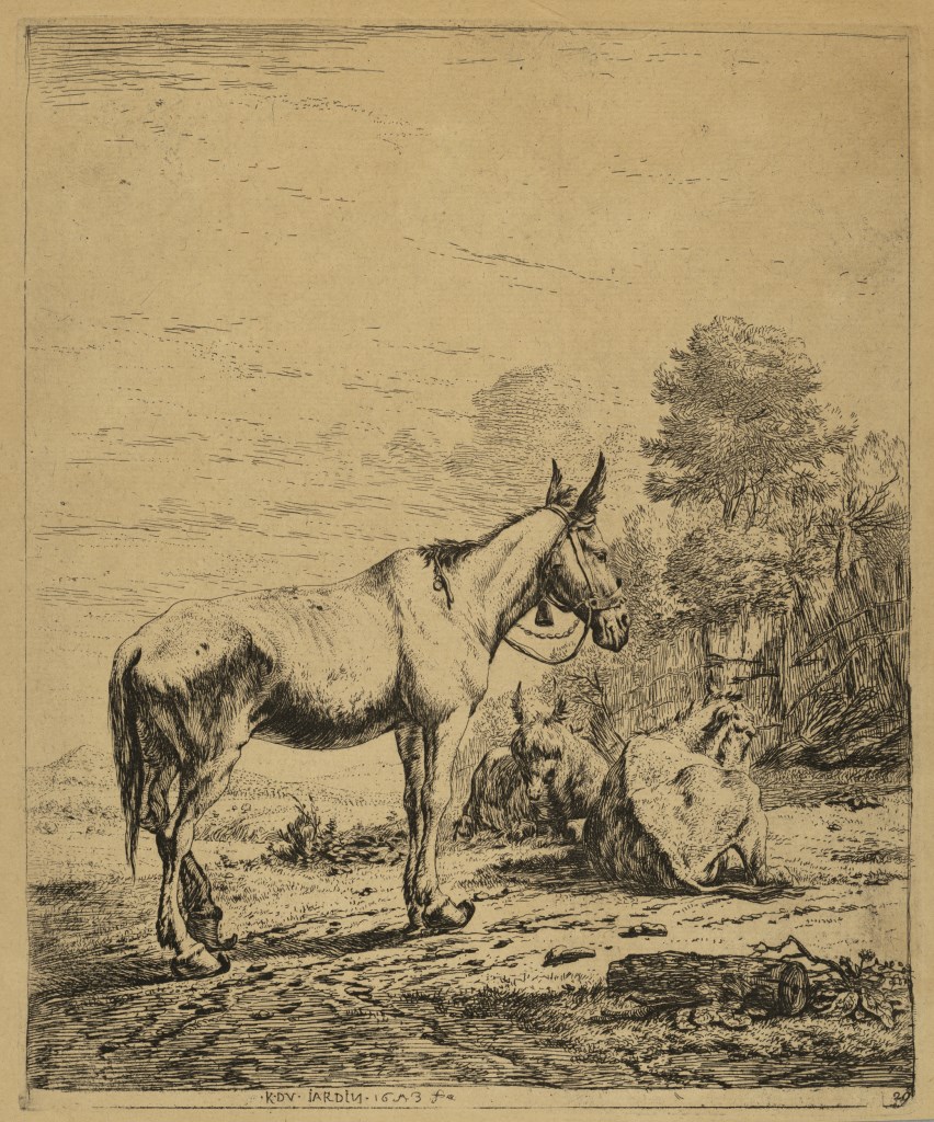  par DUJARDIN