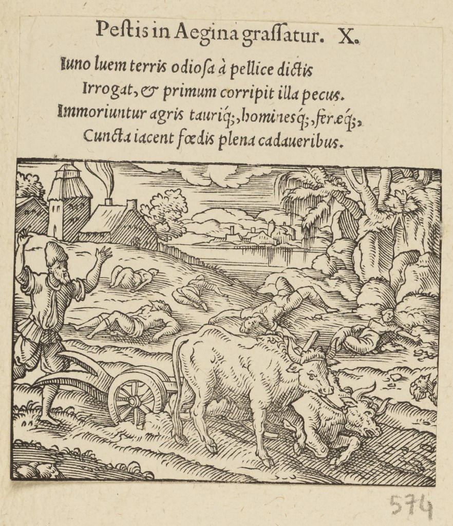  par ANONYME 16ème siècle