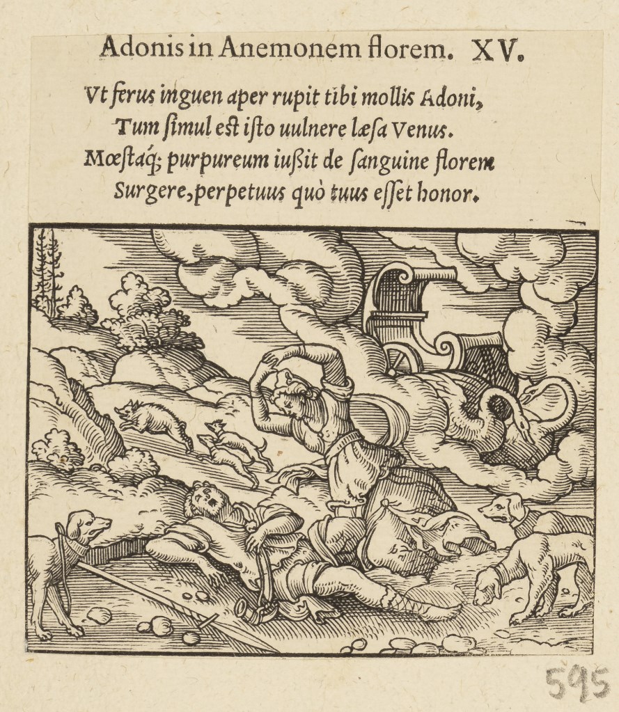  par ANONYME 16ème siècle