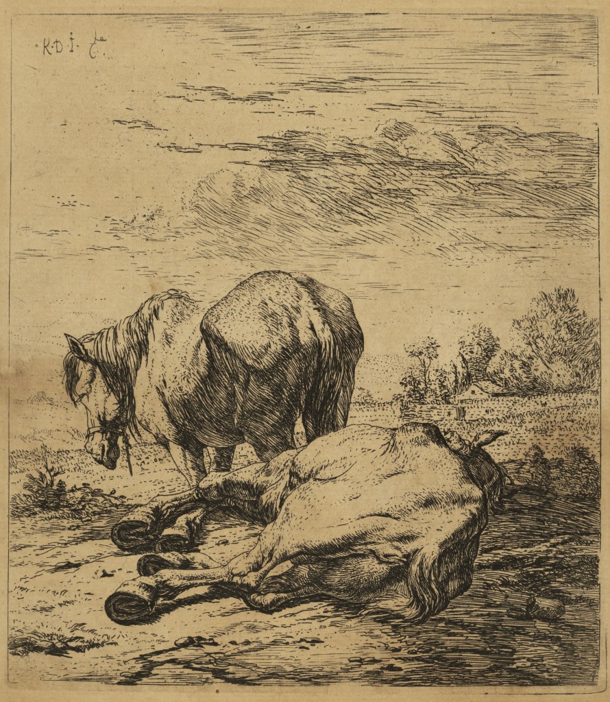  par DUJARDIN