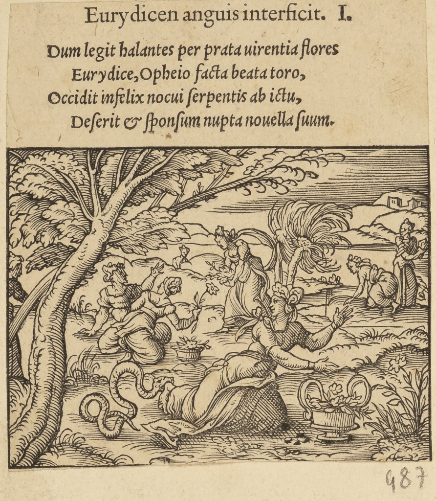 par ANONYME 16ème siècle