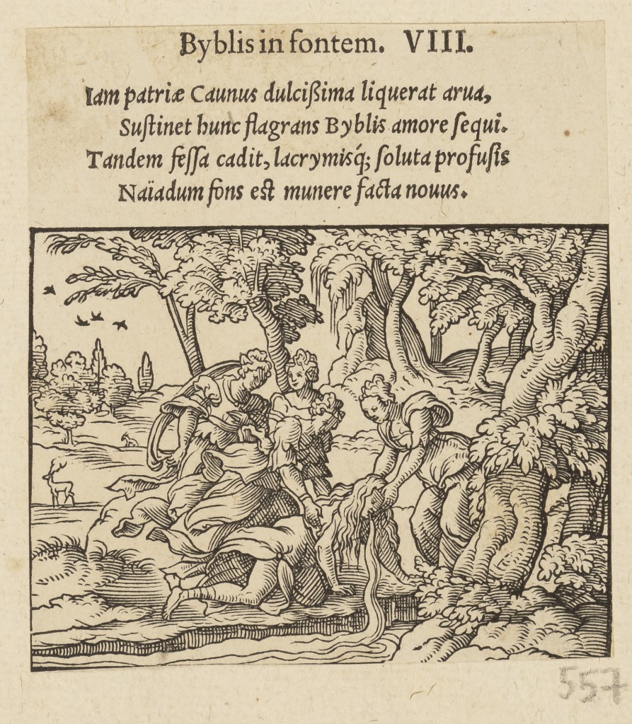  par ANONYME 16ème siècle