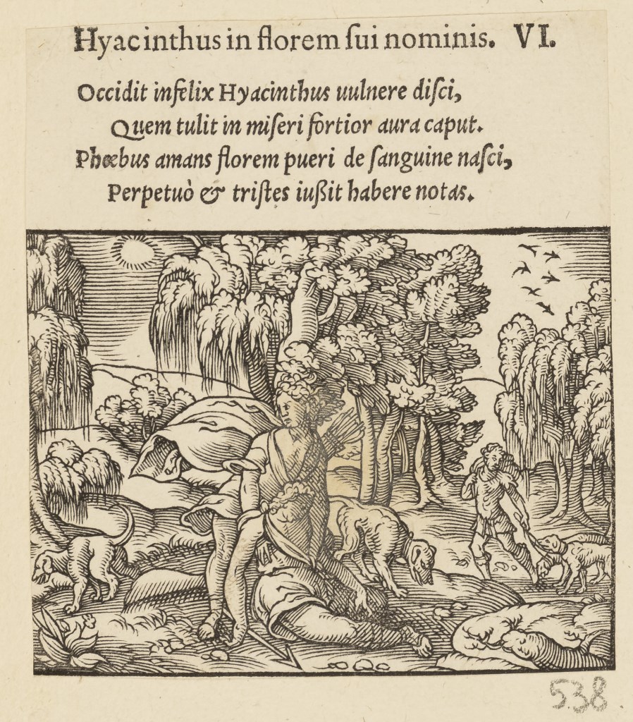  par ANONYME 16ème siècle
