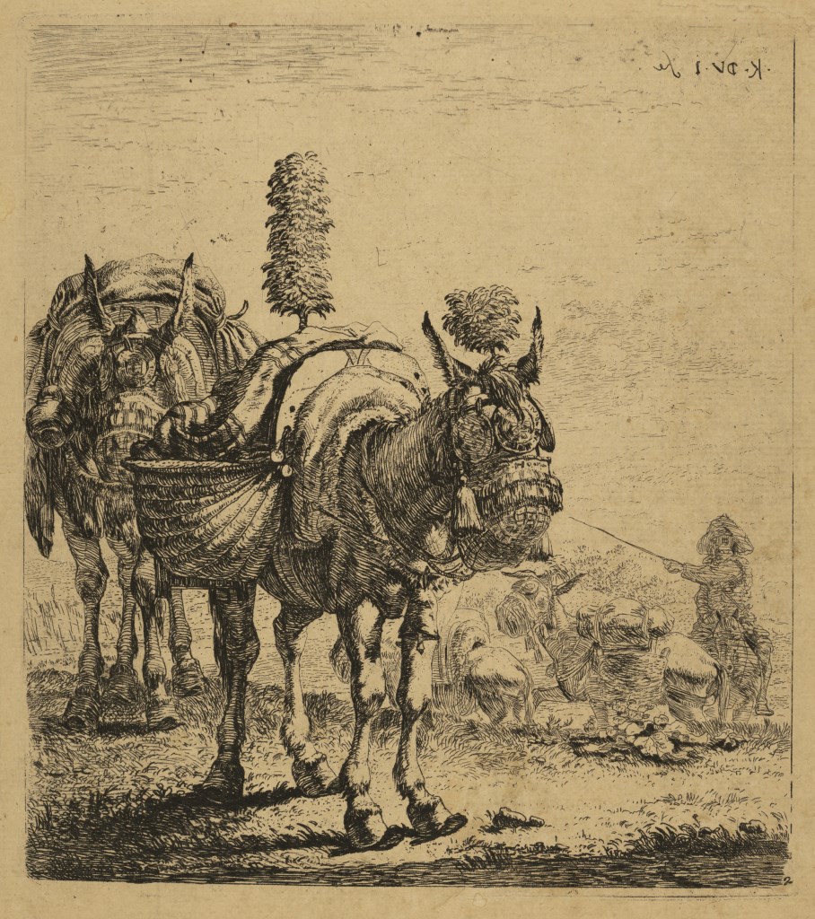  par DUJARDIN