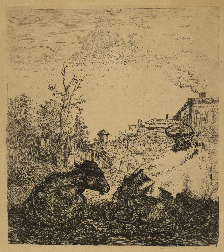  par DUJARDIN