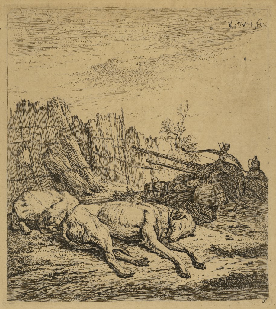  par DUJARDIN