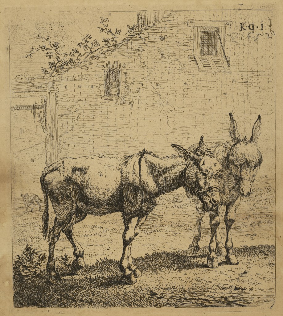  par DUJARDIN