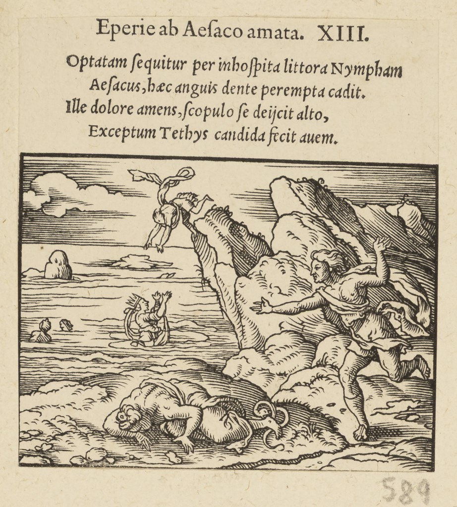  par ANONYME 16ème siècle