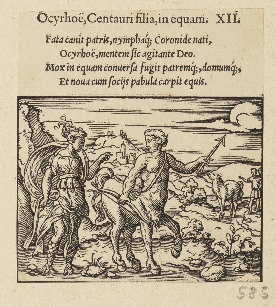  par ANONYME 16ème siècle