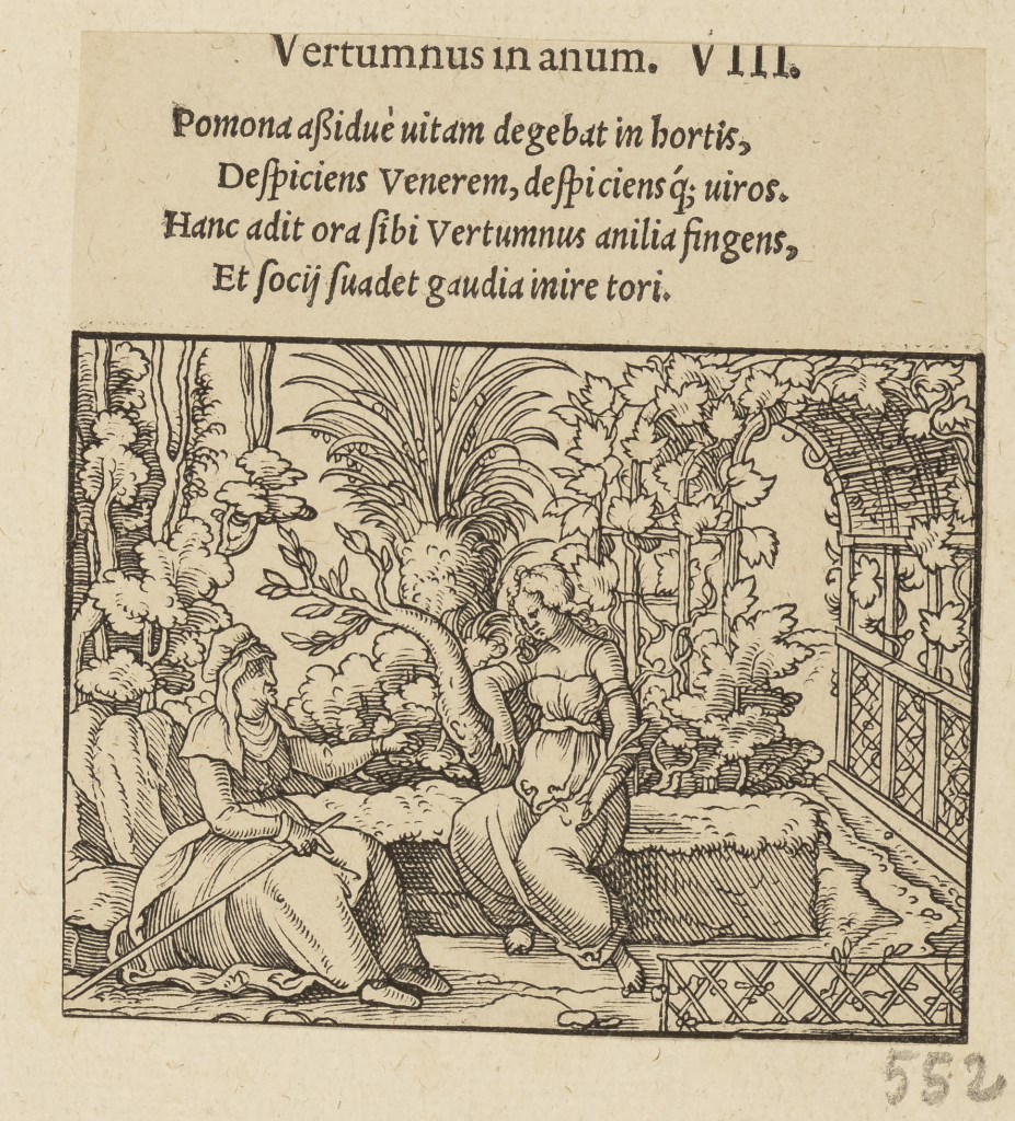  par ANONYME 16ème siècle