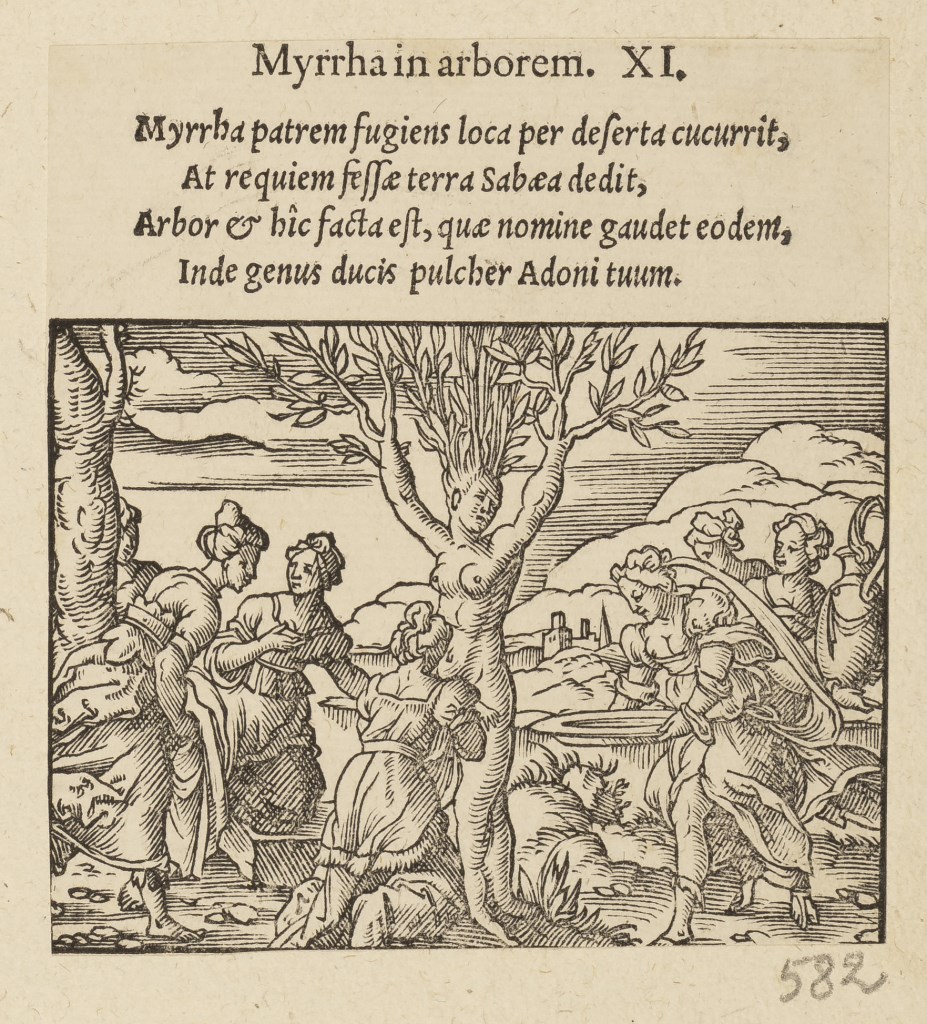  par ANONYME 16ème siècle