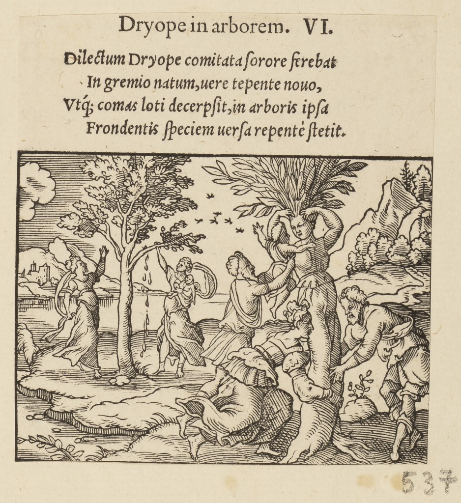  par ANONYME 16ème siècle
