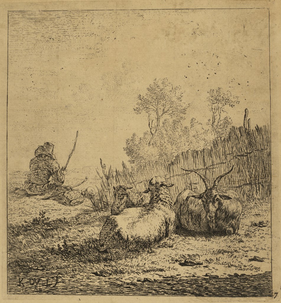  par DUJARDIN